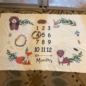 Twin calendar blanket